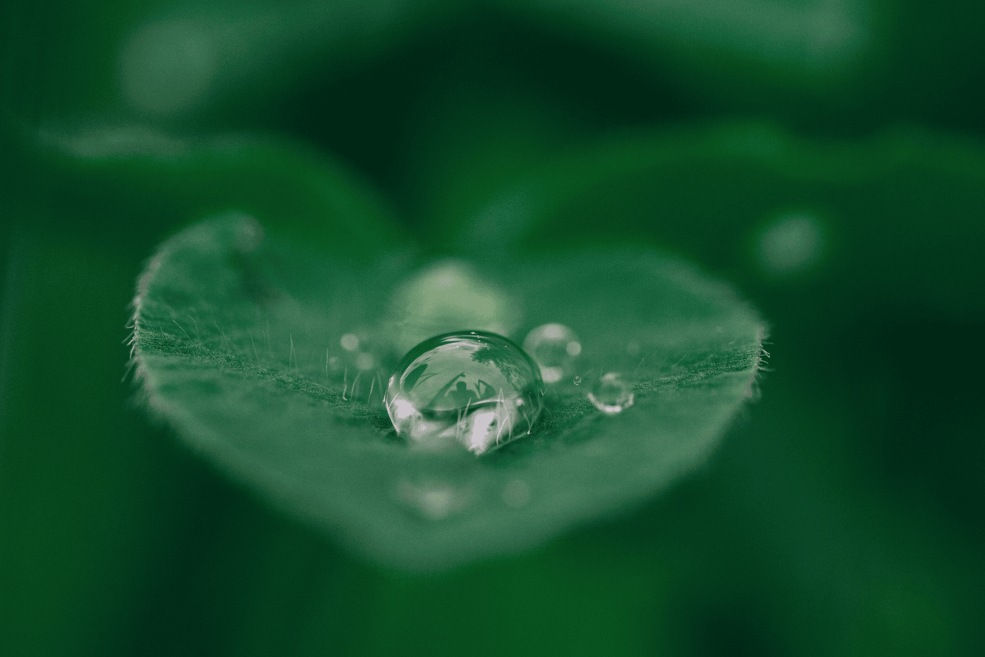 Featured image for “7 Amazing Eco-Friendly Washroom Products and Services”